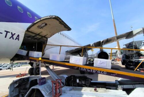 592747405_1196005259344603_7489842409552005202_n